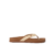 Shifting Sand/Tan