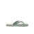 Sage Texture