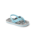 Light Blue Palm