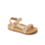 Ditsy Cheetah
