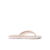 Cameo Rose