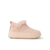 Cameo Rose