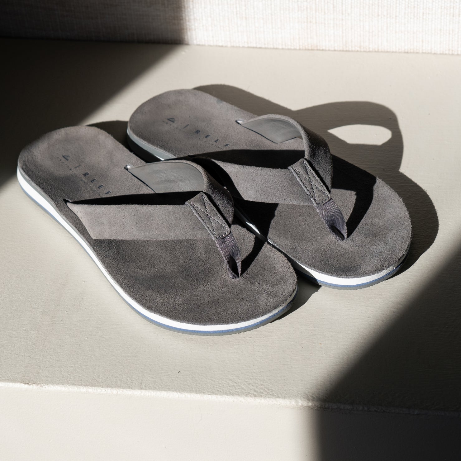 PDP-Grey-PDPALT-2-1.jpg