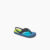 Aqua/Green